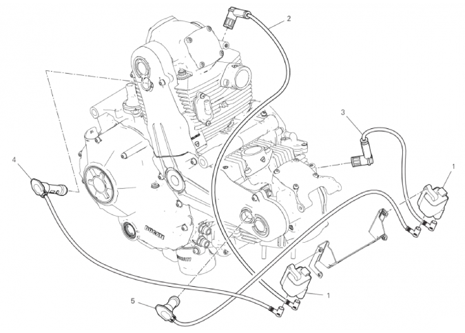 WIRING HARNESS (COIL) 