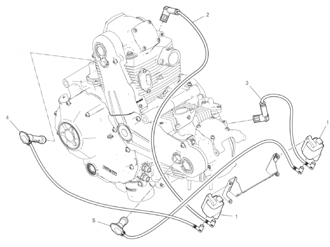 WIRING HARNESS (COIL) 