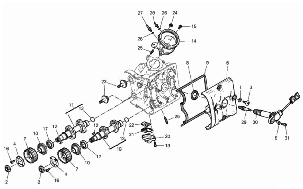 HORIZONTAL HEAD – TIMING SYSTEM 