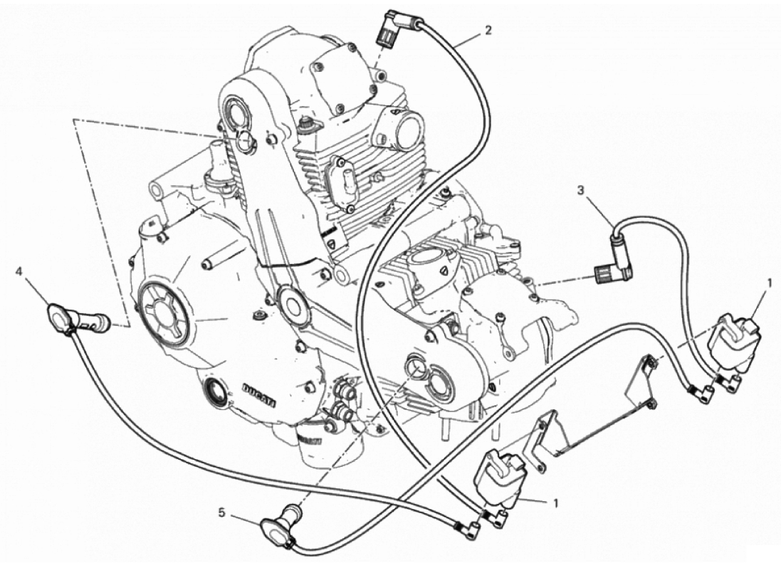 WIRING HARNESS (COIL) 
