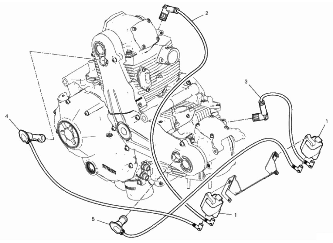 WIRING HARNESS (COIL) 
