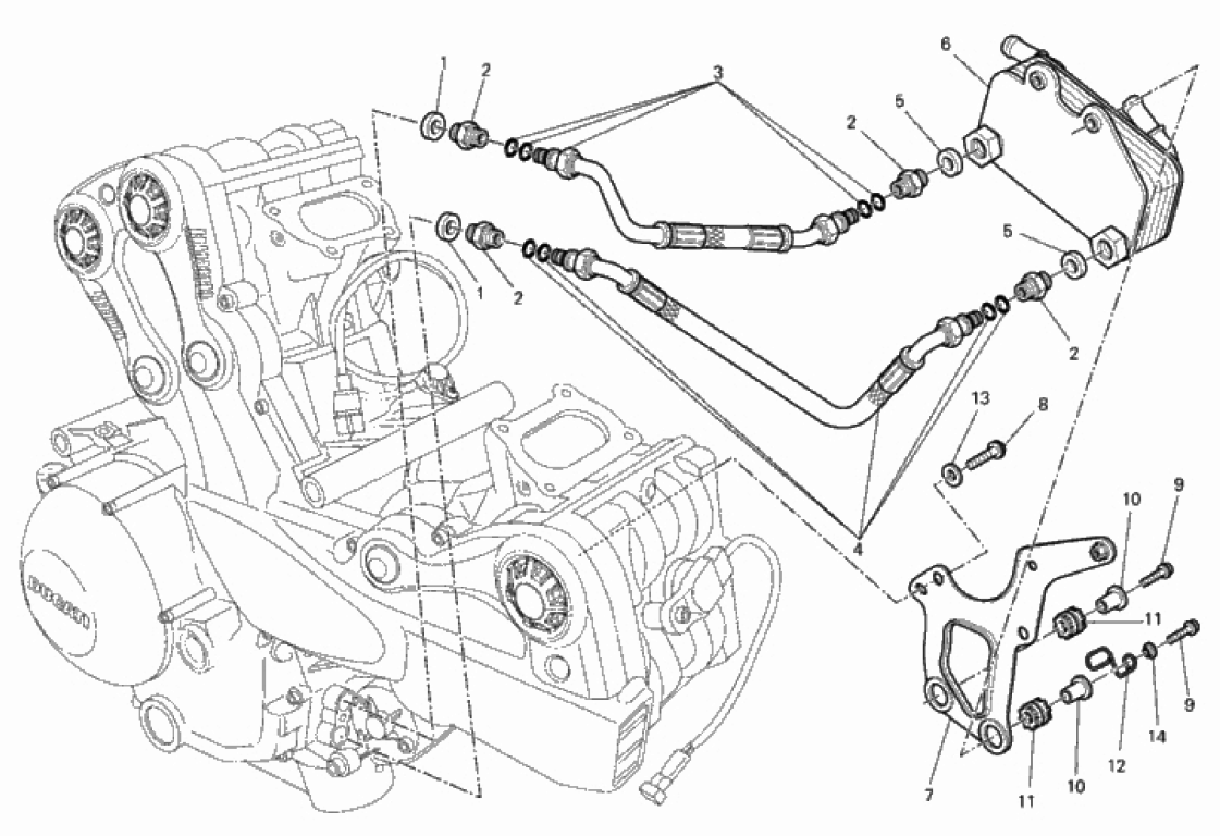 OIL COOLER 