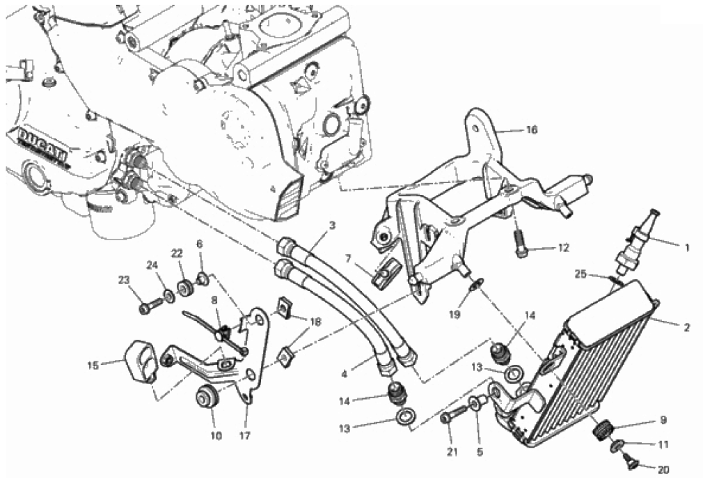 OIL COOLER 