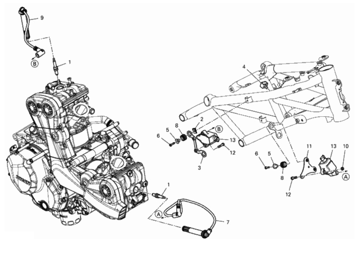 WIRING HARNESS (COIL) 