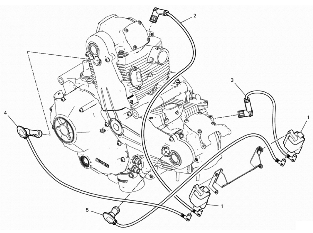 WIRING HARNESS (COIL) 