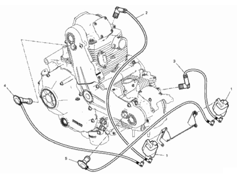 WIRING HARNESS (COIL) 