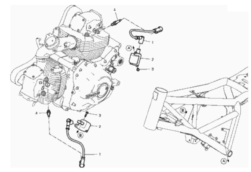 WIRING HARNESS (COIL) 