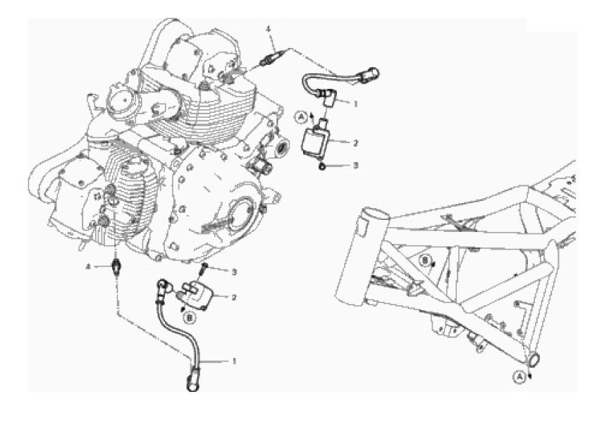 WIRING HARNESS (COIL) 