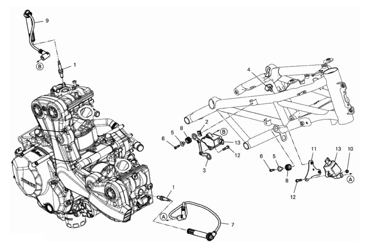 WIRING HARNESS (COIL) 