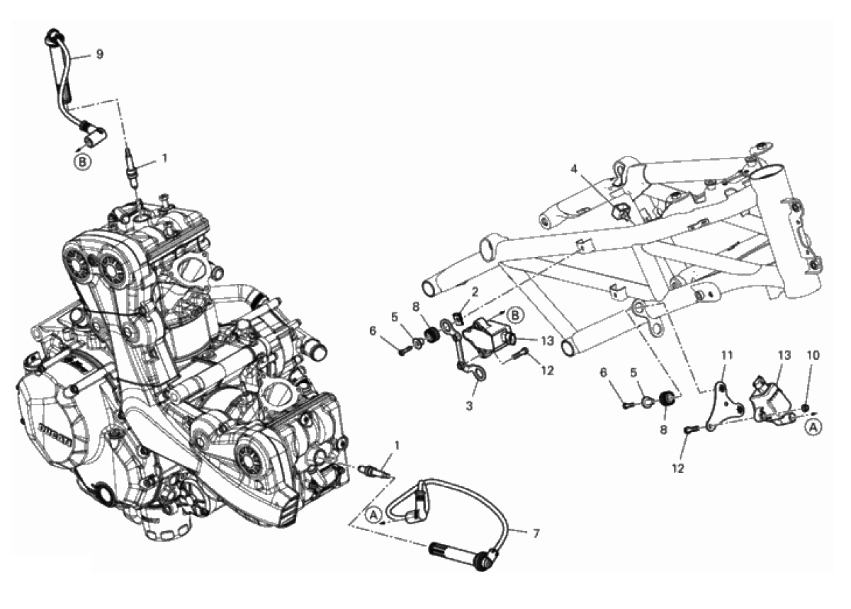 WIRING HARNESS (COIL) 