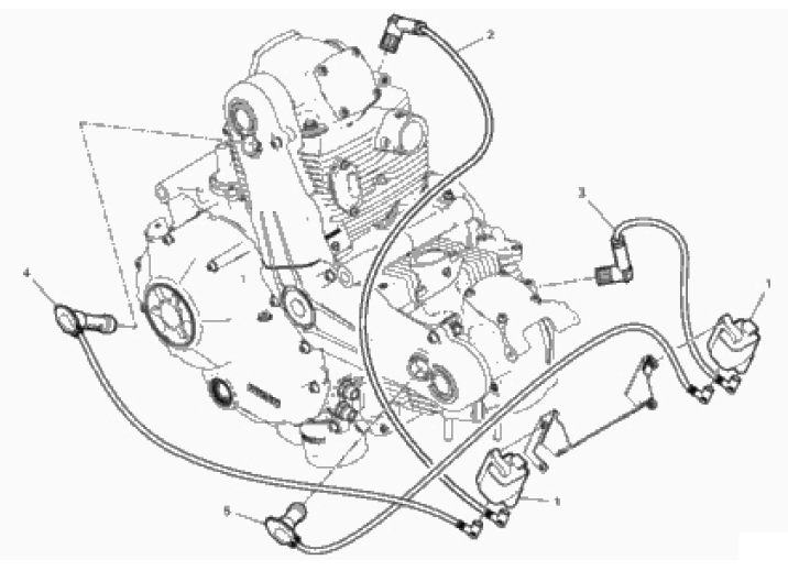WIRING HARNESS (COIL) 