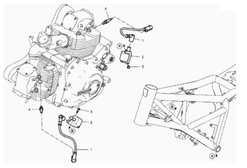 WIRING HARNESS (COIL) 