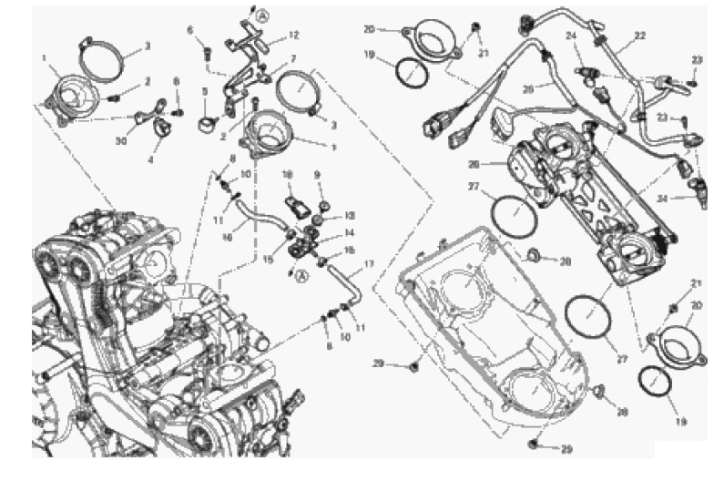 THROTTLE BODY 
