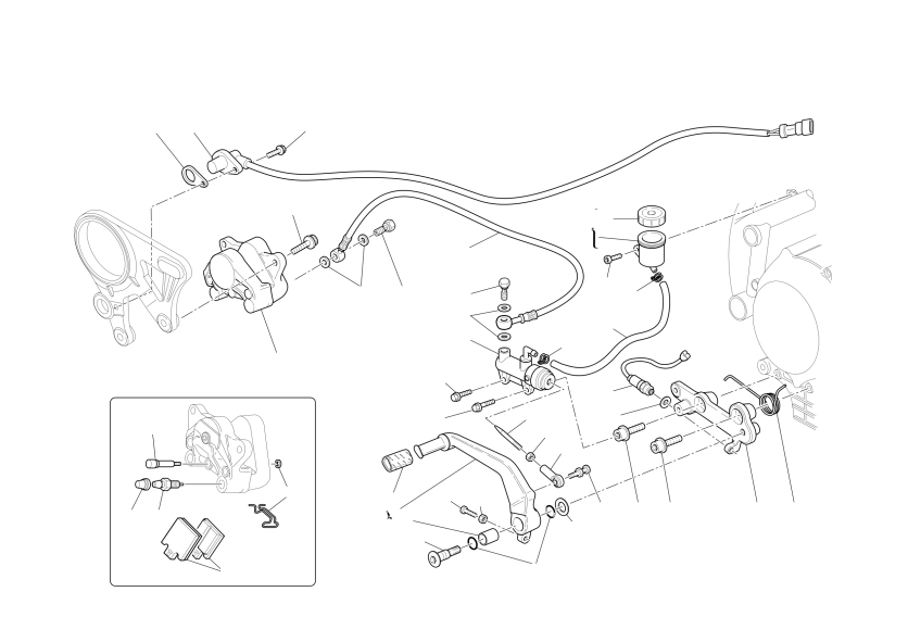 Rear brake