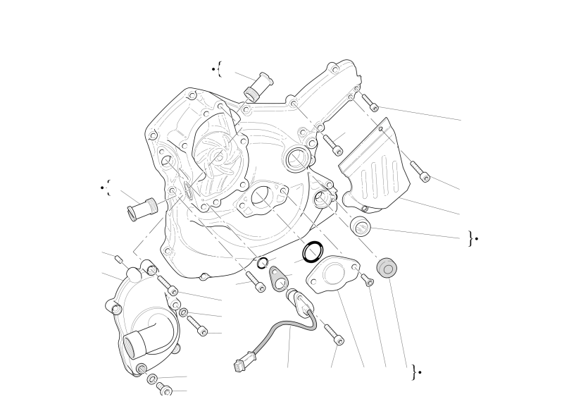 WATER PUMP - ALTERNATOR COVER