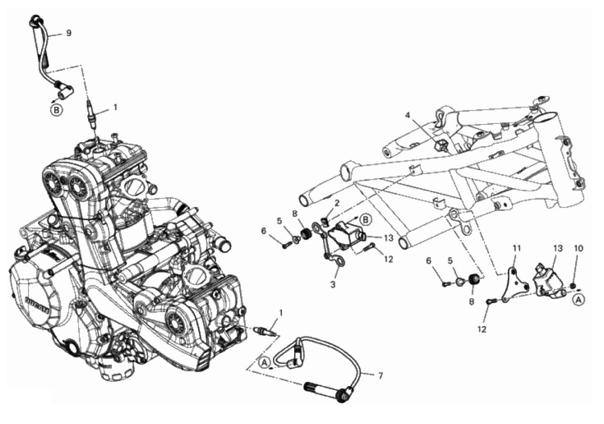 WIRING HARNESS (COIL) 