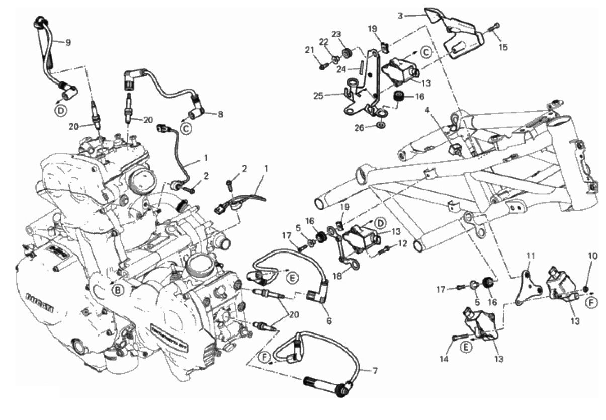 WIRING HARNESS (COIL) 