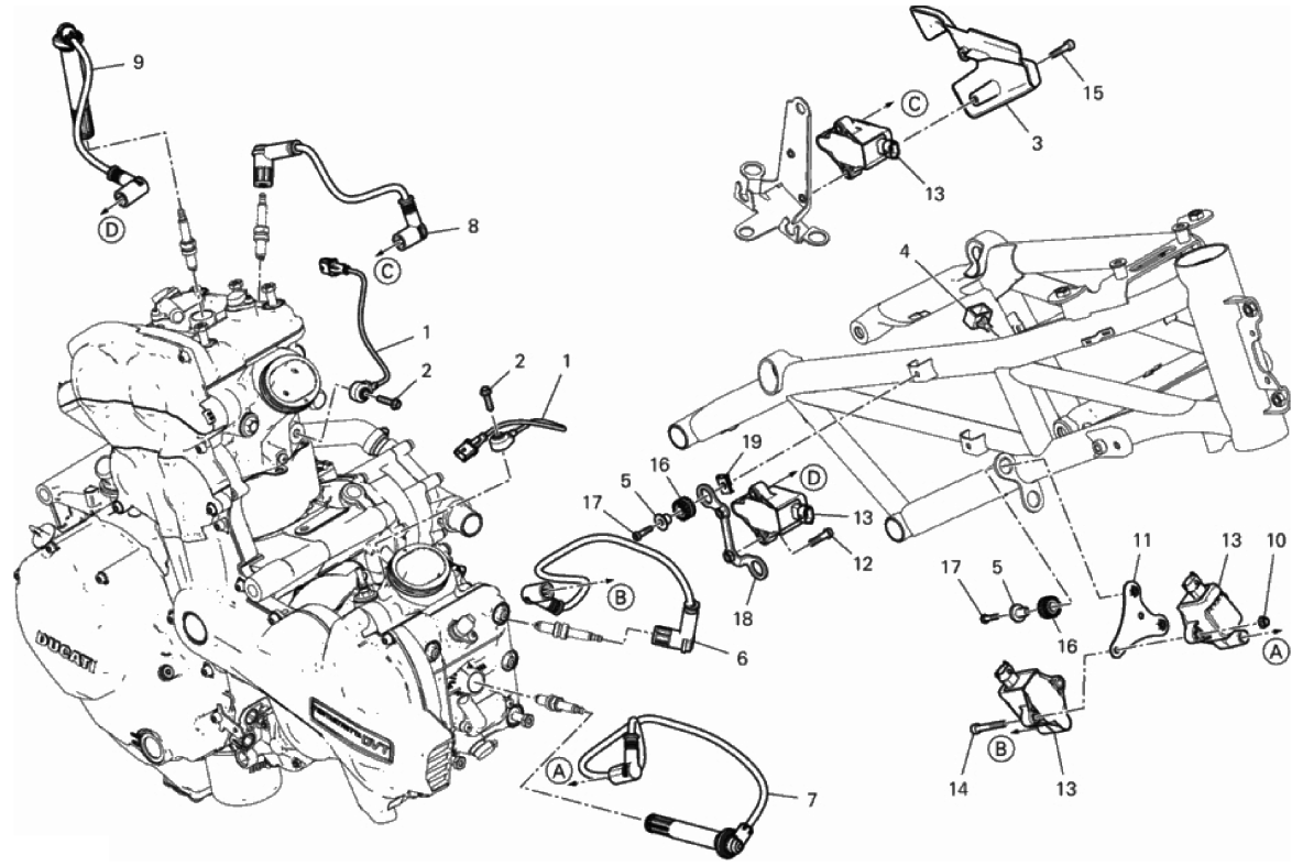 WIRING HARNESS (COIL)