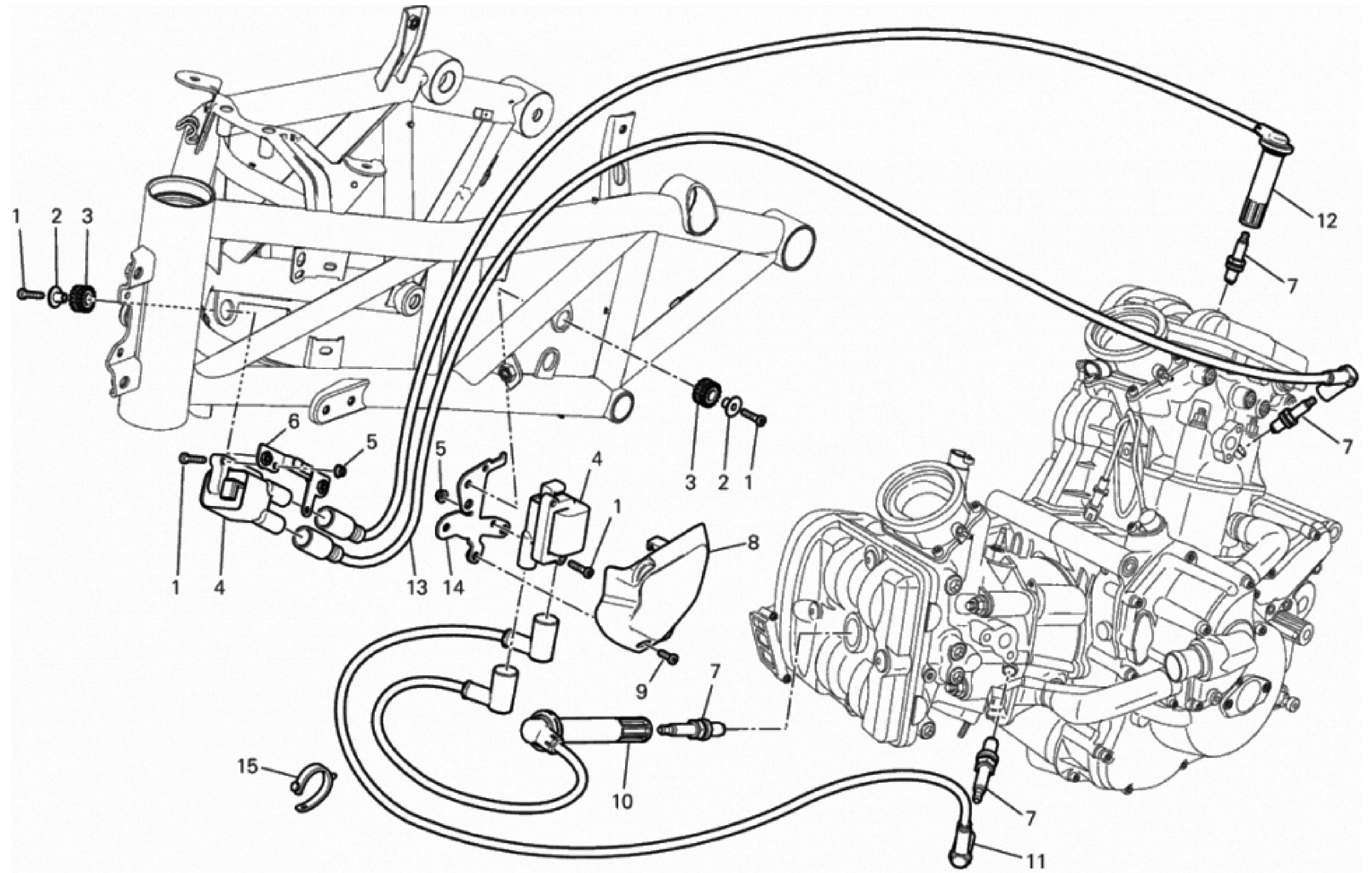 WIRING HARNESS (COIL) 