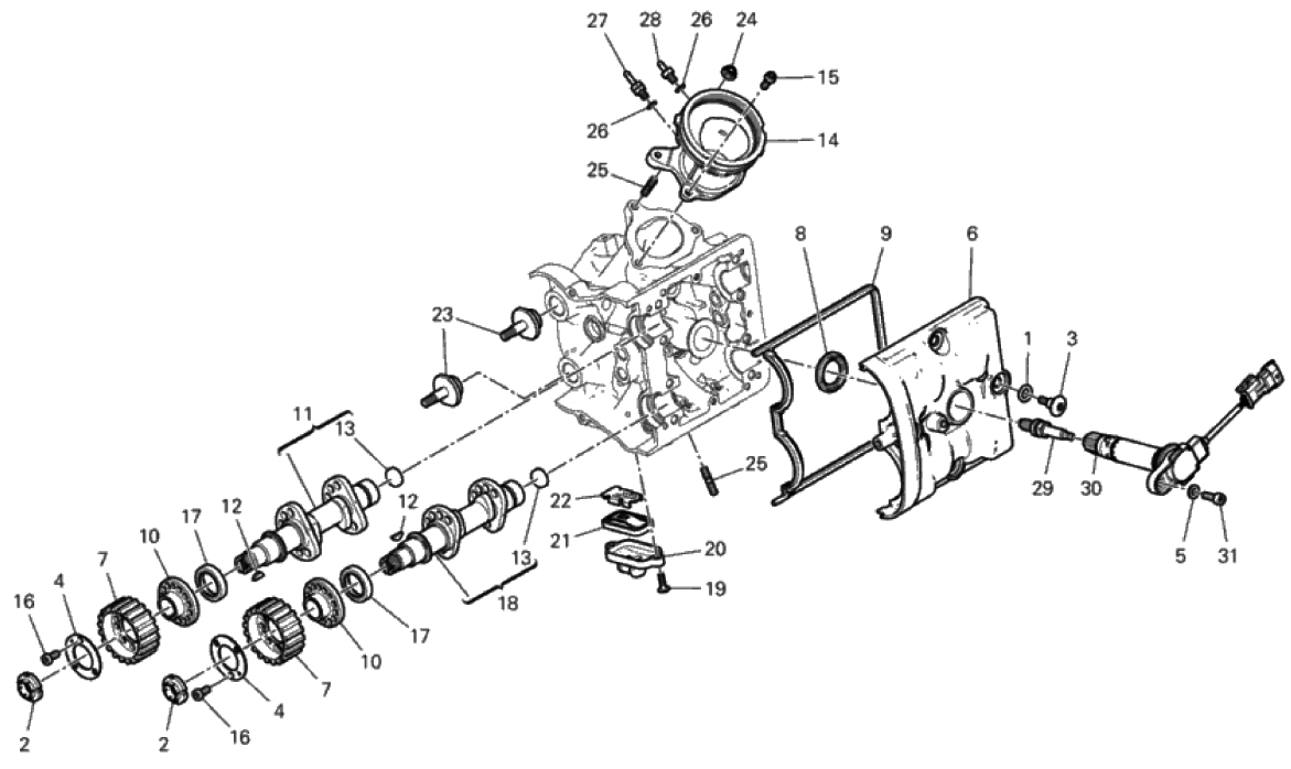 HORIZONTAL HEAD – TIMING SYSTEM 