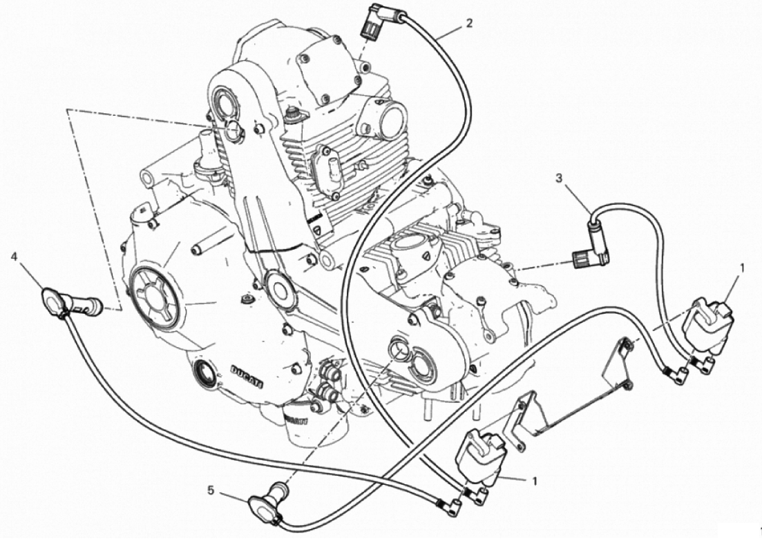 WIRING HARNESS (COIL) 