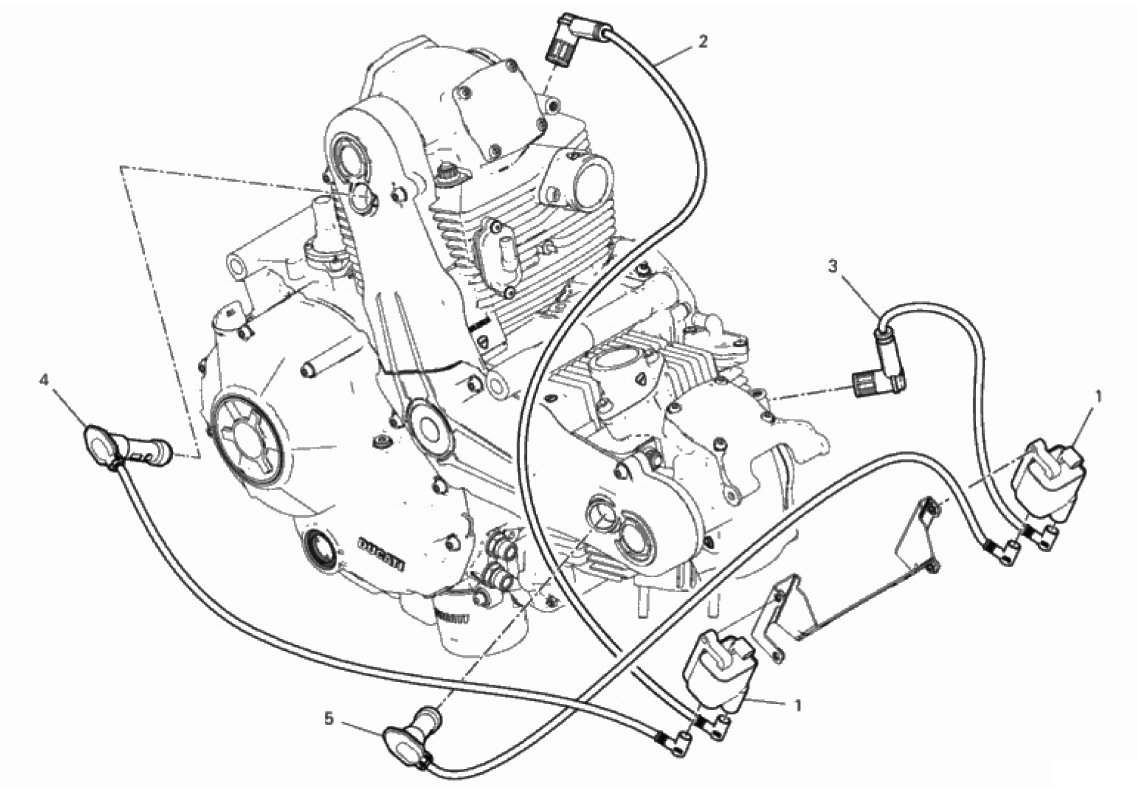 WIRING HARNESS (COIL) 