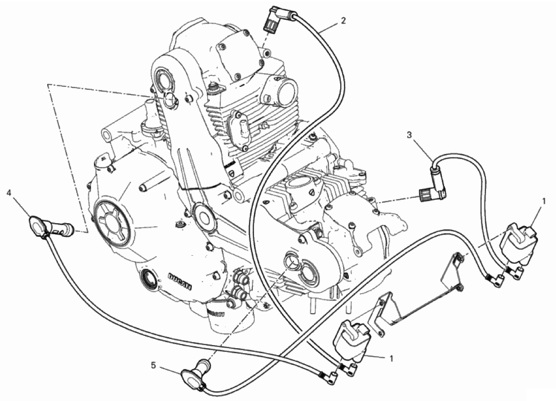 WIRING HARNESS (COIL) 