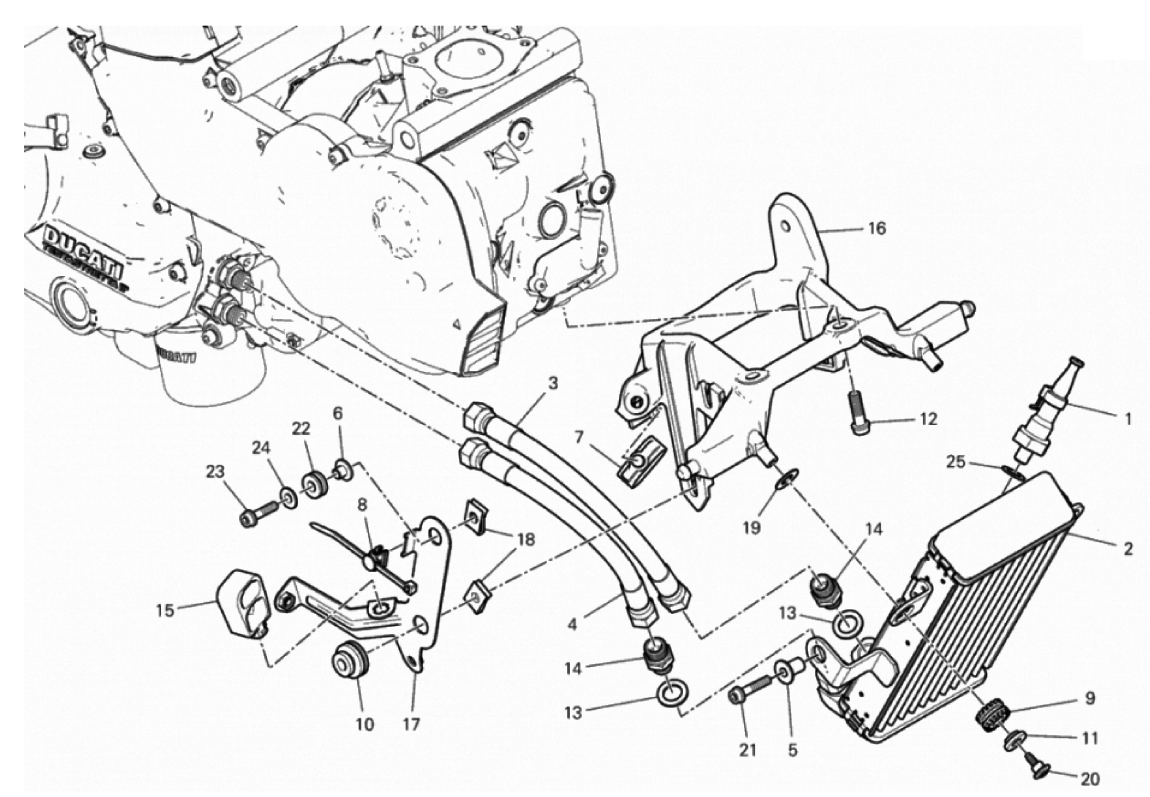 OIL COOLER