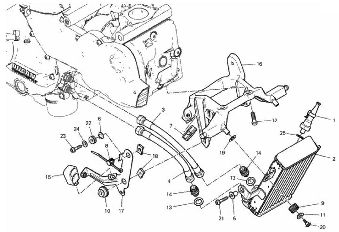 OIL COOLER 