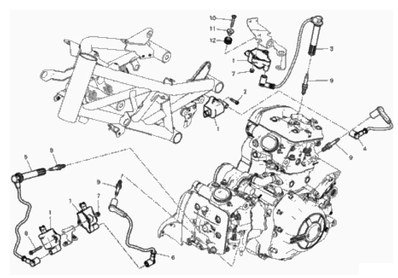 WIRING HARNESS (COIL)