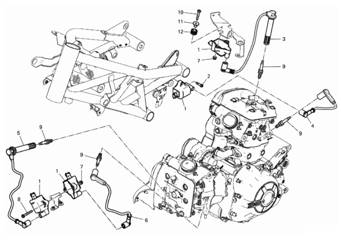 WIRING HARNESS (COIL) 