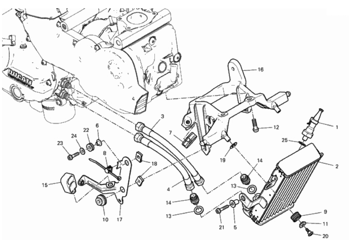 OIL COOLER 