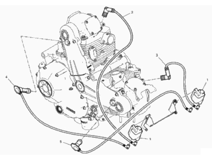 WIRING HARNESS (COIL) 