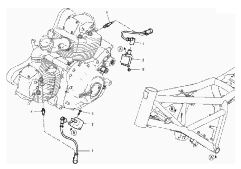 WIRING HARNESS (COIL) 