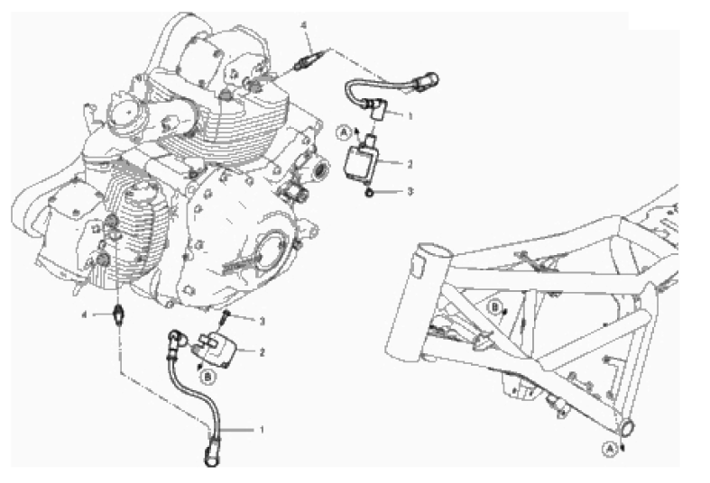 WIRING HARNESS (COIL) 