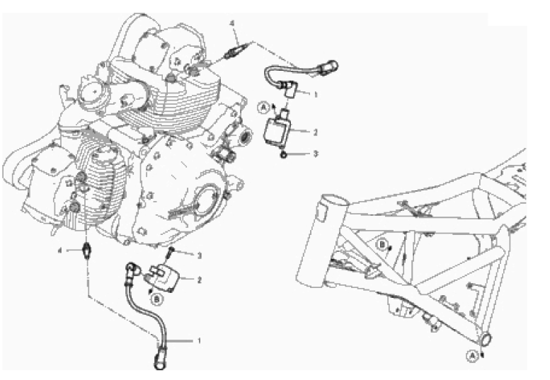 WIRING HARNESS (COIL)