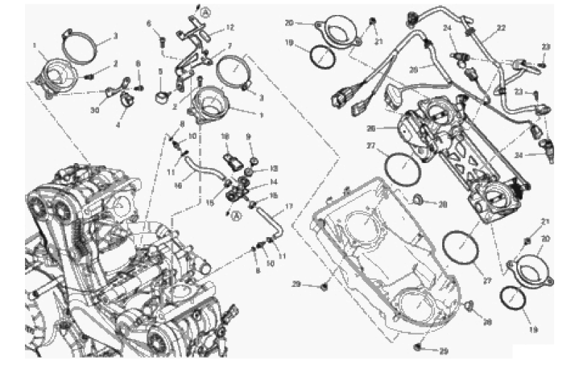 THROTTLE BODY 