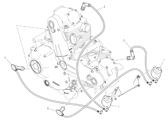 WIRING HARNESS (COIL) 