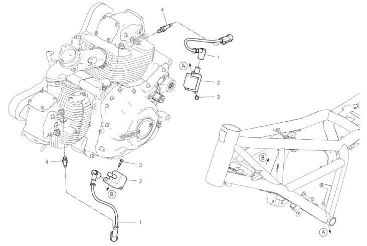 WIRING HARNESS (COIL)